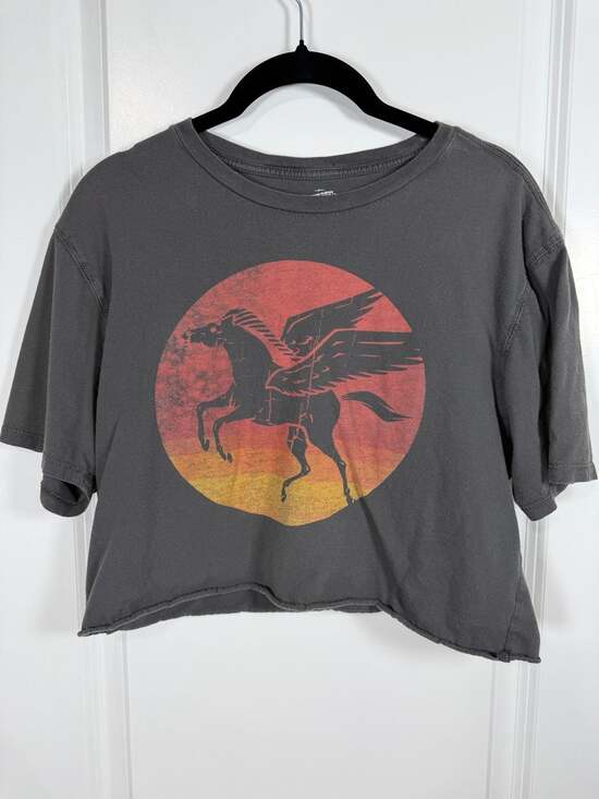 Cremieux Tops - Cremieux 1971 Pegasus Graphic Sun Women's Raw Hem Crop T-Shirt